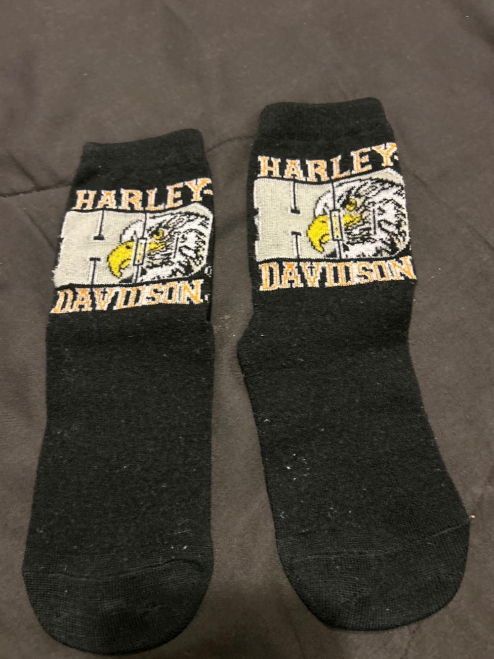 EagleHarley Davidson socks
